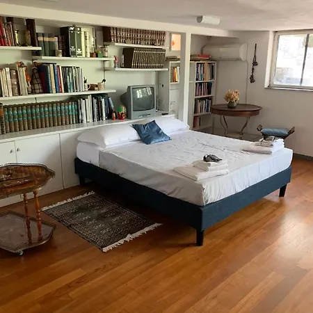 Casa Camelia